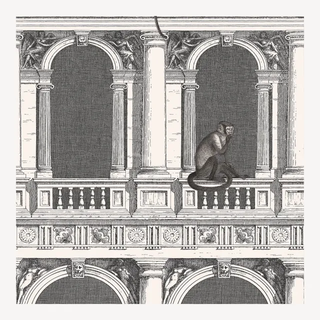 fornasetti-procuratie-e-scimmie-tapete-affen-arkaden-10m image 1