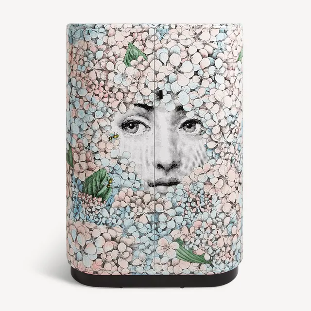 atelier-fornasetti-ortensia-schrank-gebogen-handlackiert image 1