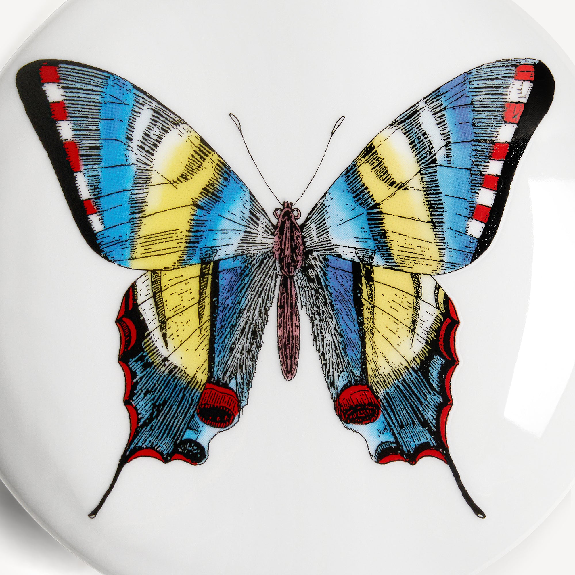 atelier-fornasetti-farfalle-round-box-porzellandose-schmetterling image 4