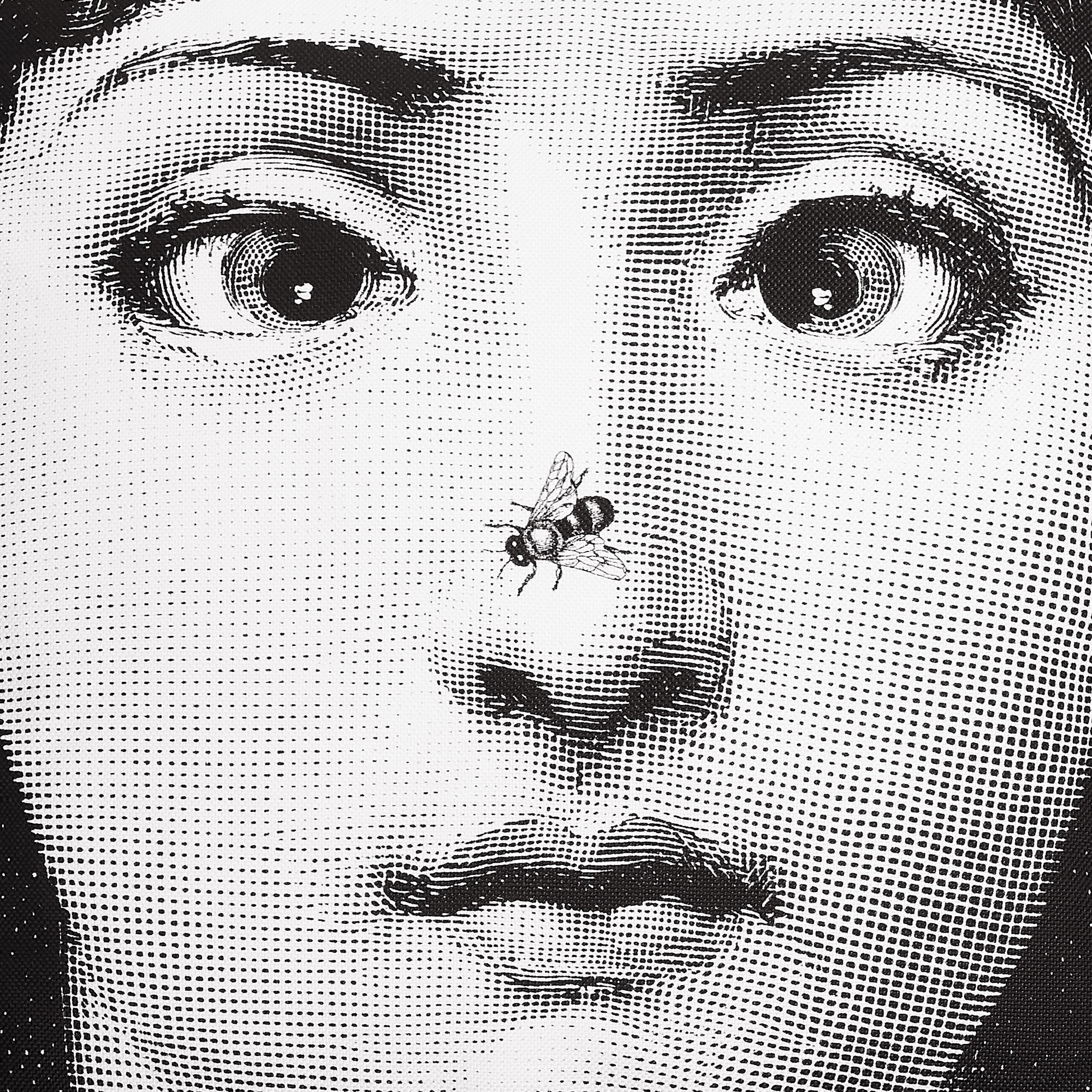 fornasetti-ape-kissen-tema-e-variazioni-bezug-inklusive image 4