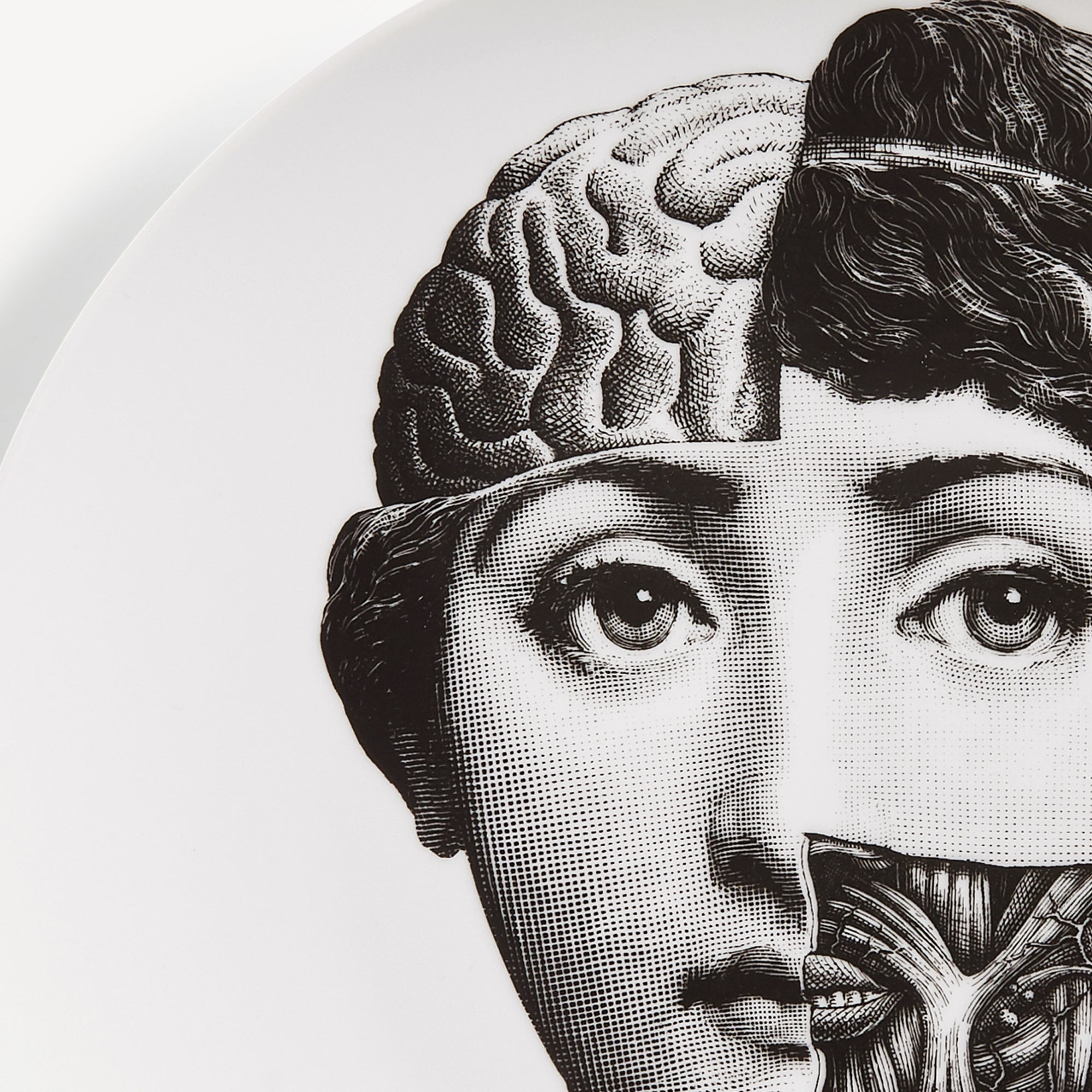 atelier-fornasetti-tema-e-variazioni-n-189-wandteller-porzellan image 4