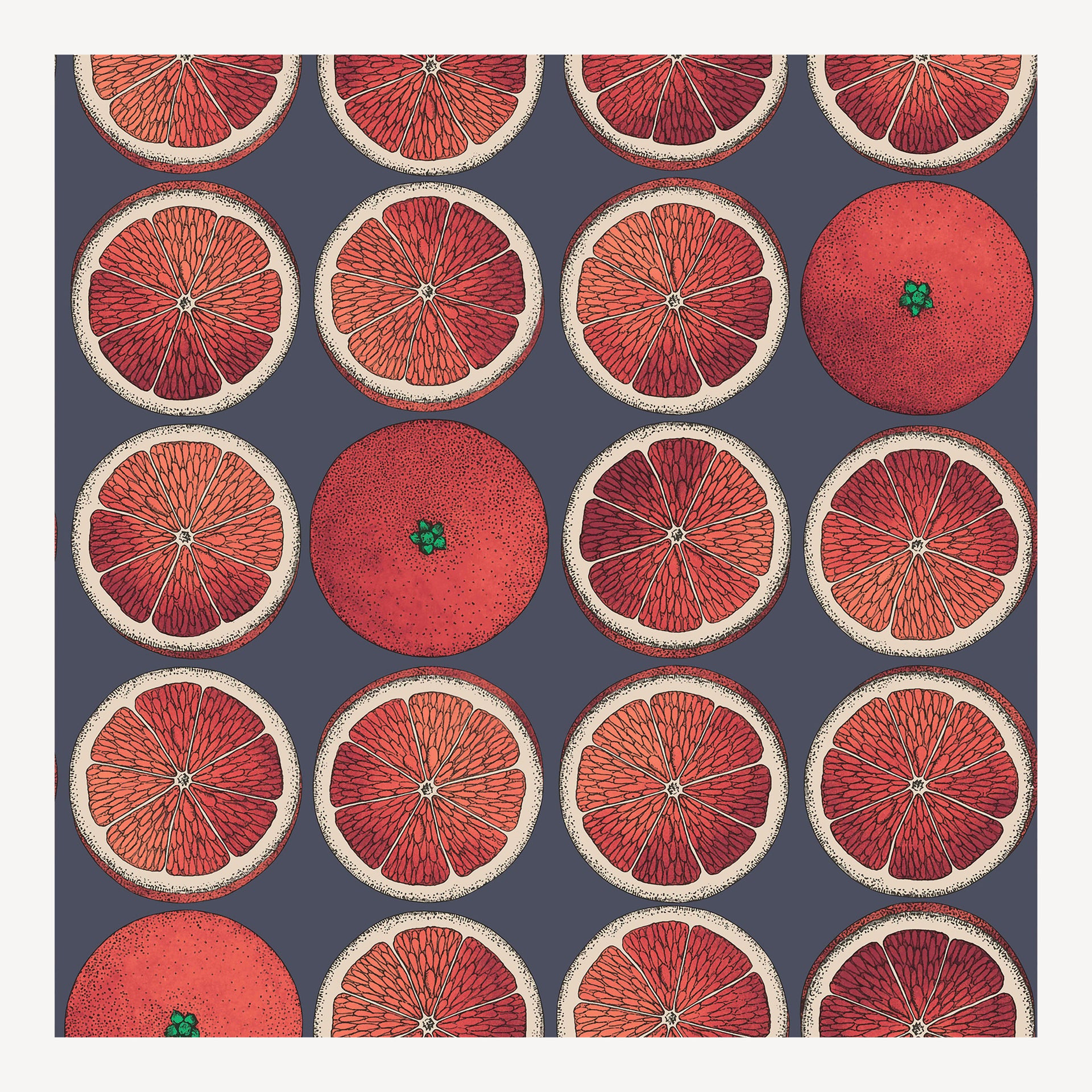 atelier-fornasetti-arance-tapete-blutorange-52cm-x-10m image 1
