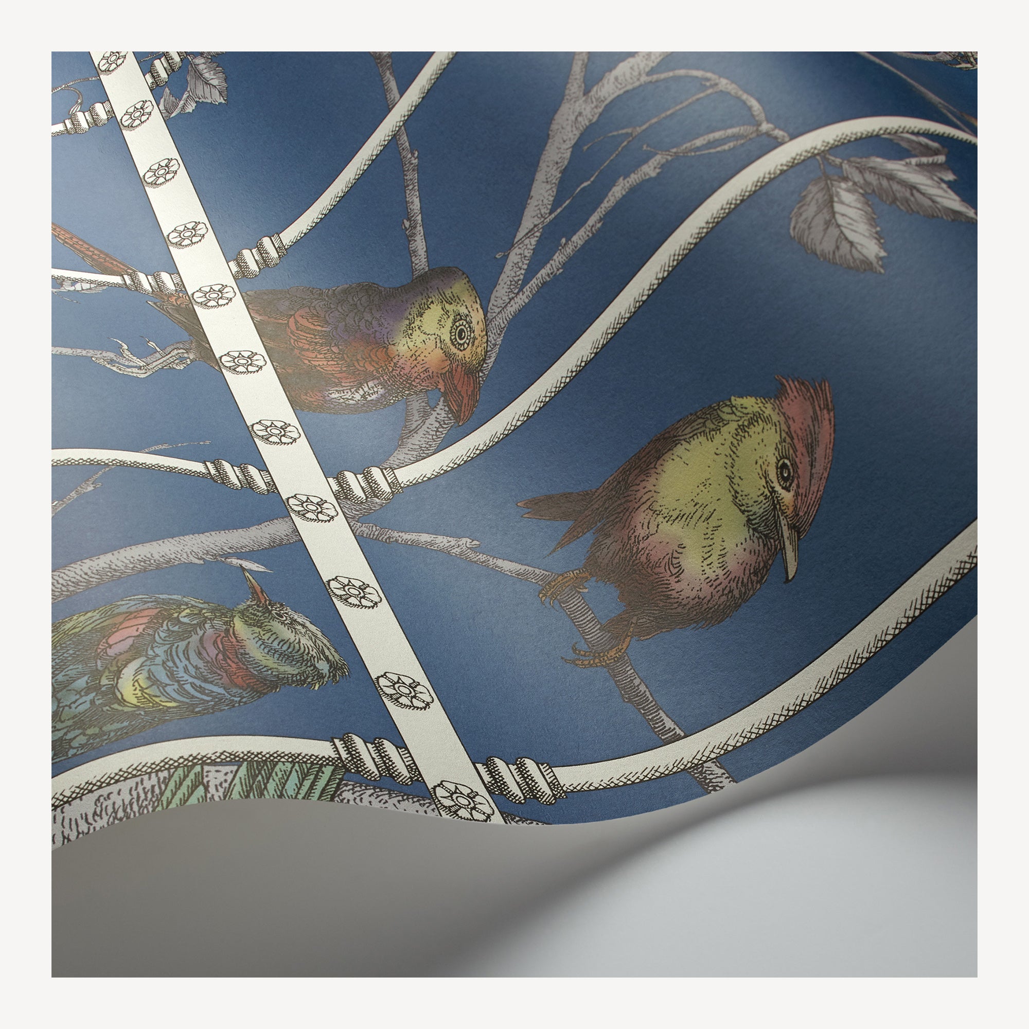 fornasetti-wallpaper-uccelli-tapete-v-gel-52cm image 3