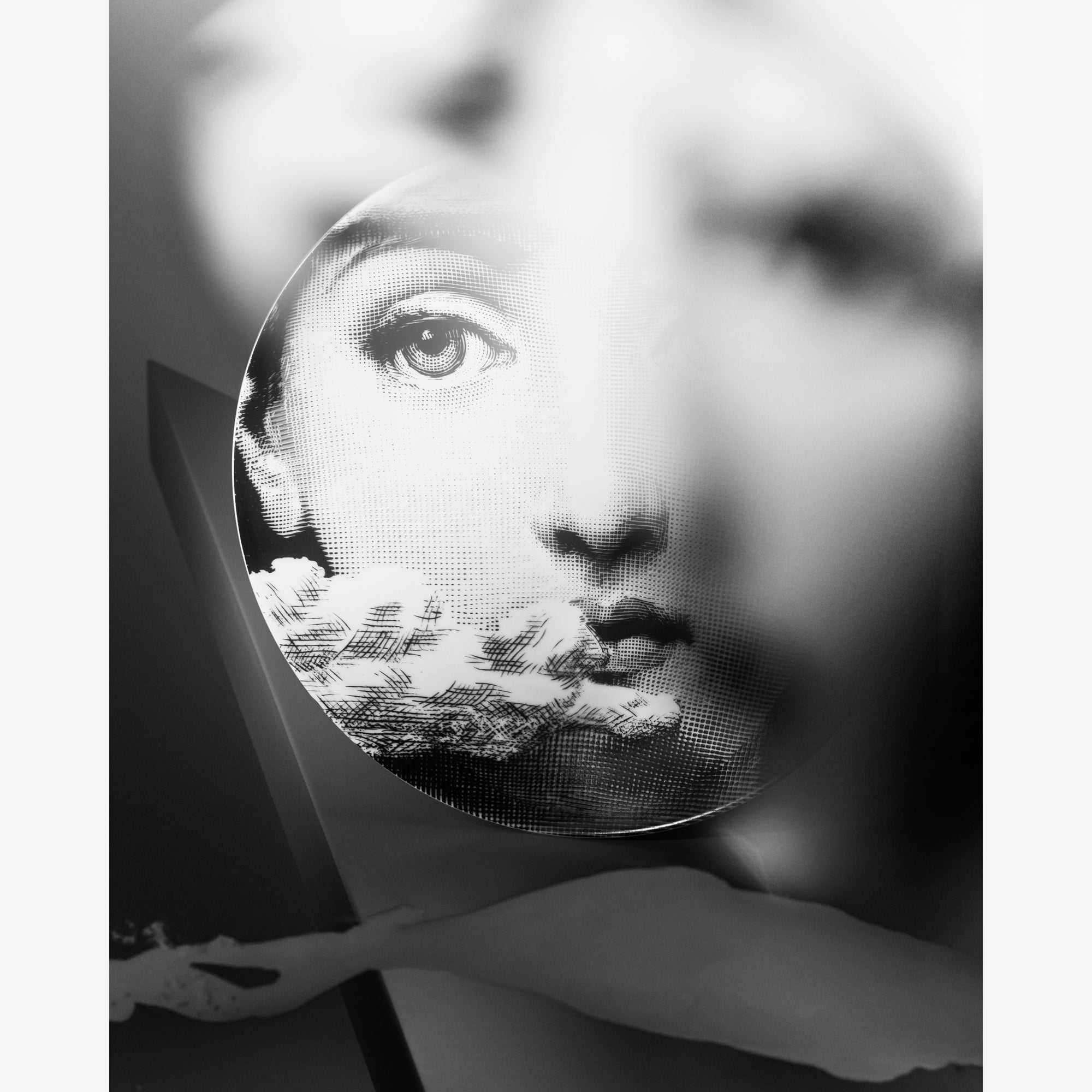 atelier-fornasetti-tema-e-variazioni-n-139-wandteller image 5