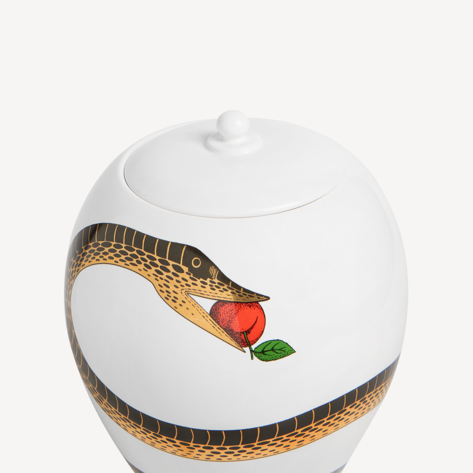 fornasetti-peccato-originale-vase-schlangenmotiv image 4