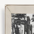 fornasetti-giardino-settecentesco-vide-poche-porzellan-eckig image 4