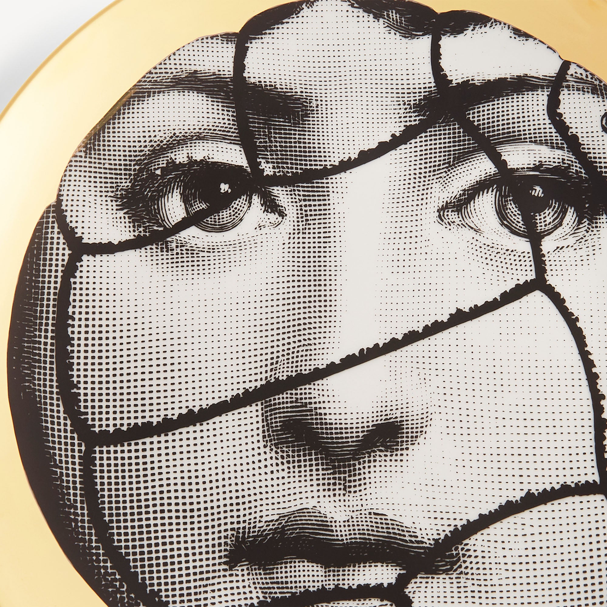 fornasetti-tema-e-variazioni-n-117-wandteller-gold-gesicht image 4