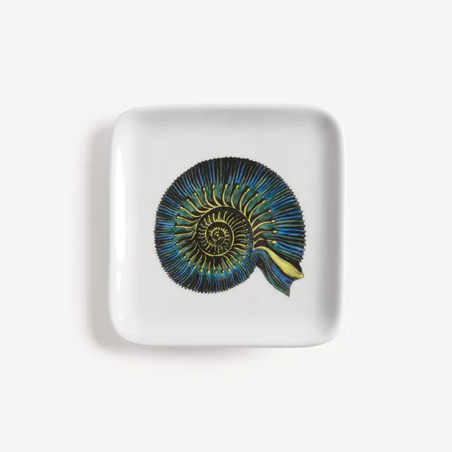 atelier-fornasetti-conchiglia-fossile-aschenbecher-keramik-muschel image 1