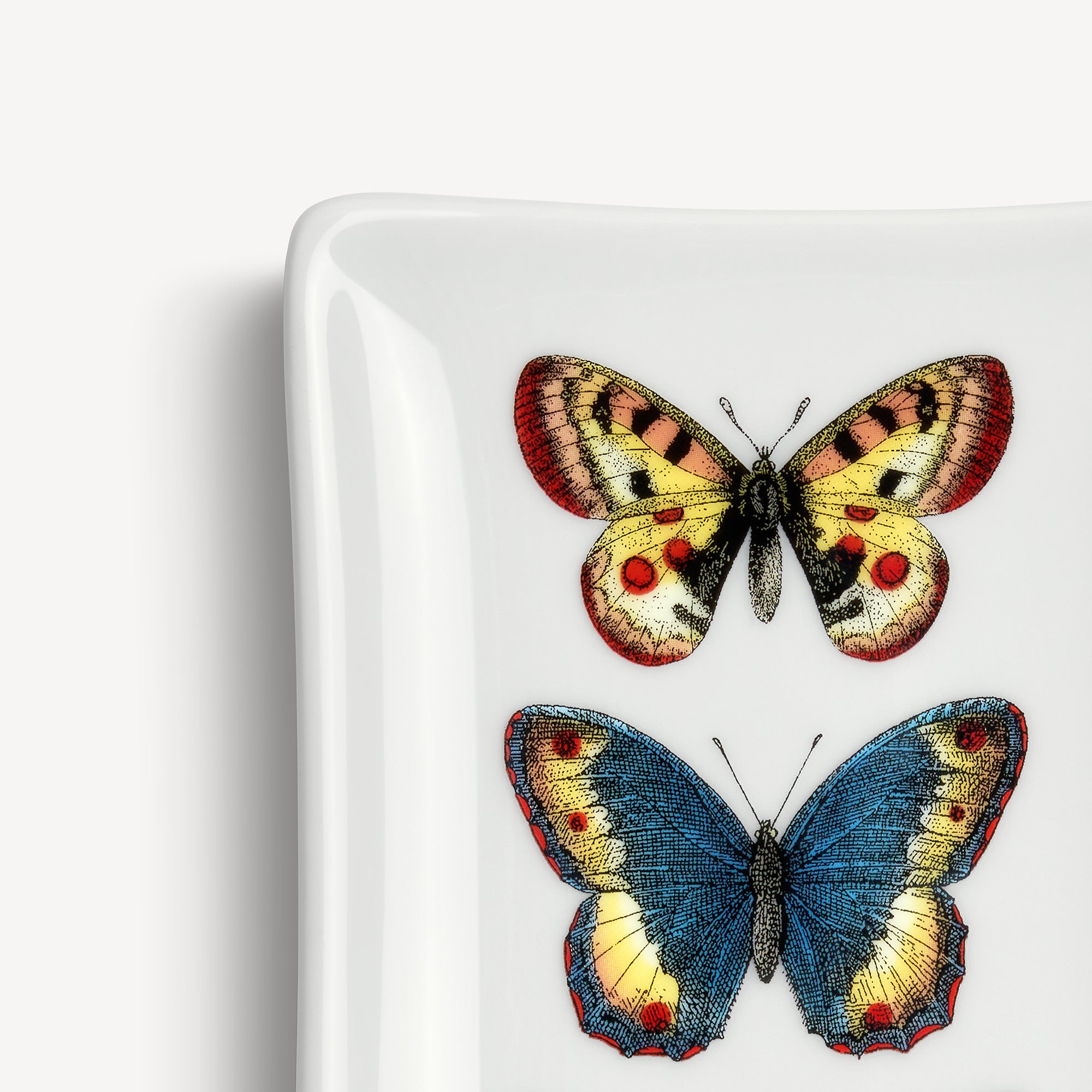 fornasetti-farfalle-aschenbecher-porzellan-rechteckig image 4