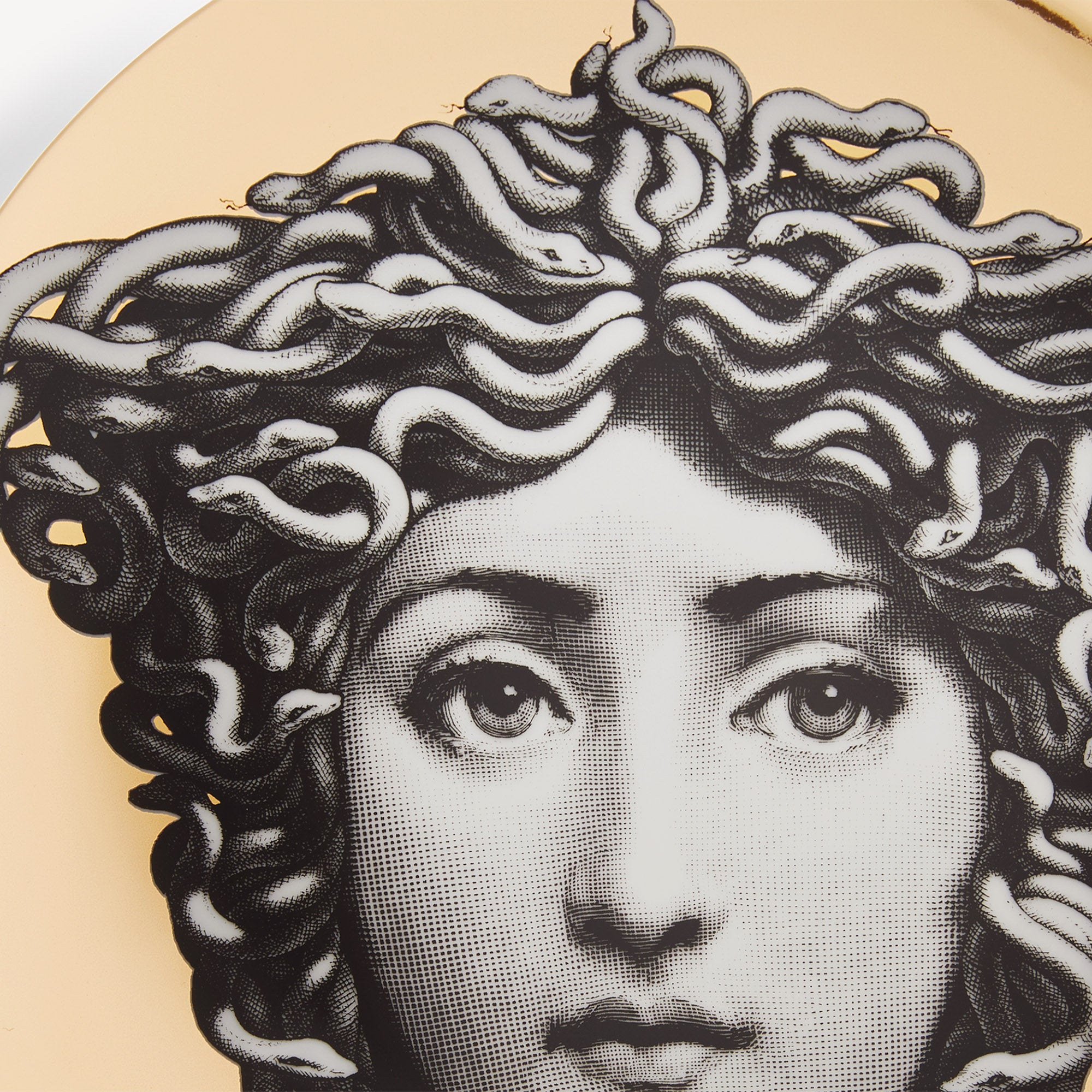 atelier-fornasetti-tema-e-variazioni-n-217-wandteller-porzellan-gold image 4