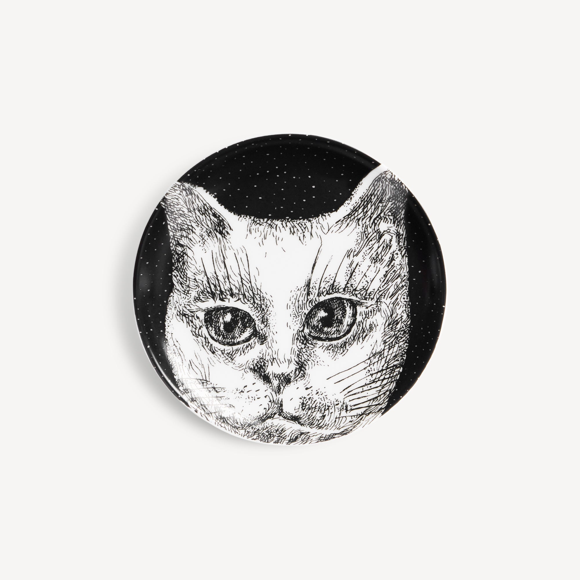 fornasetti-gatti-no-6-deko-schale-katzenmotiv image 1