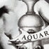 atelier-fornasetti-tema-e-variazioni-wandteller-nr-358-wassermann image 4
