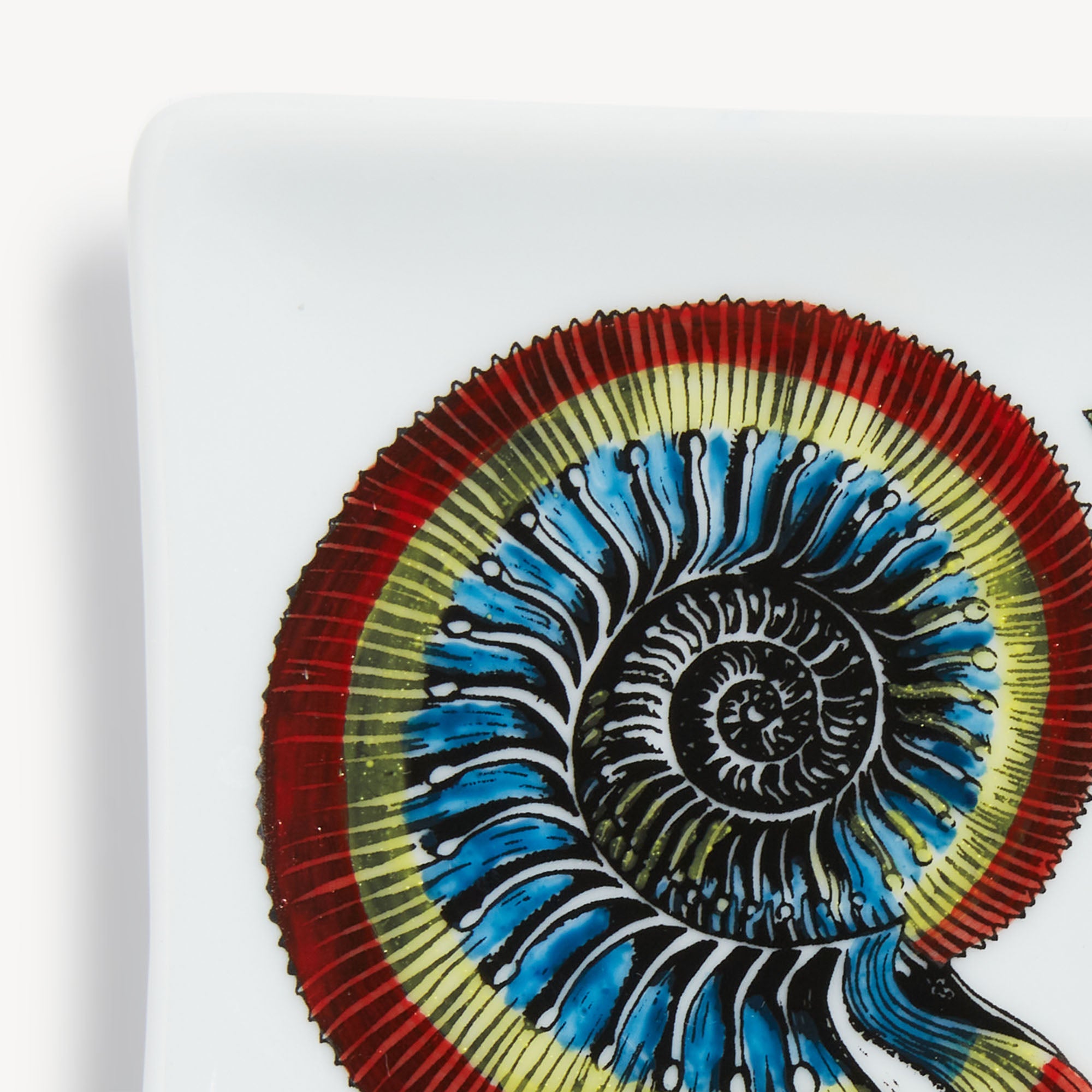 atelier-fornasetti-giro-di-conchiglie-ascher-rechteckig image 4