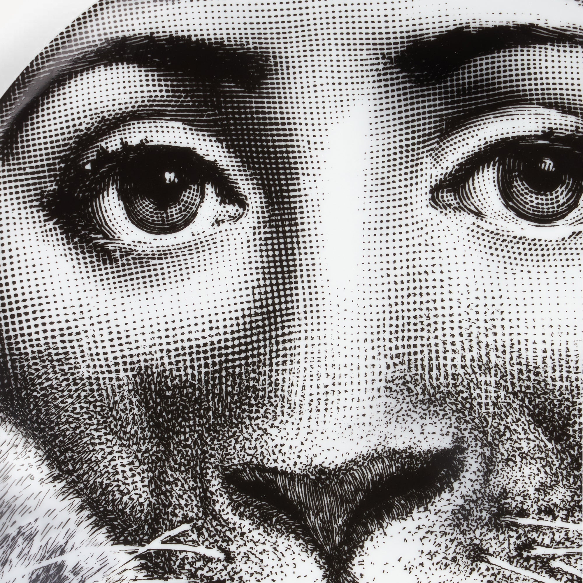fornasetti-zodiaco-leo-tema-e-variazioni-wandteller-n-352 image 4