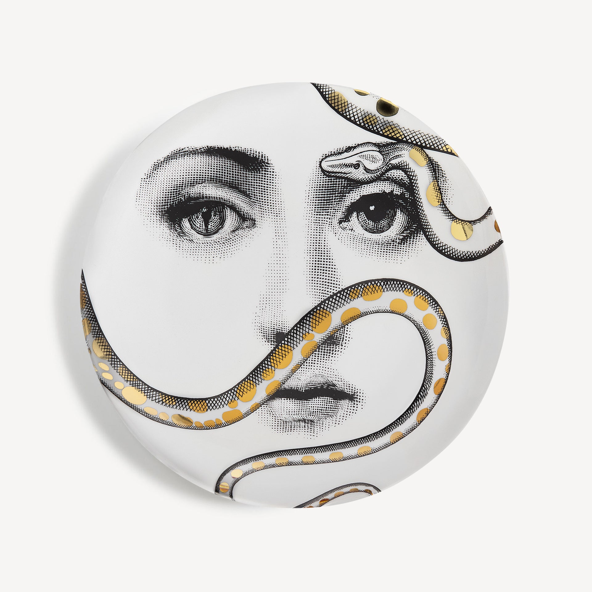 fornasetti-tema-e-variazioni-n-409-wandteller-schlange image 1