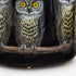 atelier-fornasetti-papierkorb-civette-eulen-metall-messingrand image 3