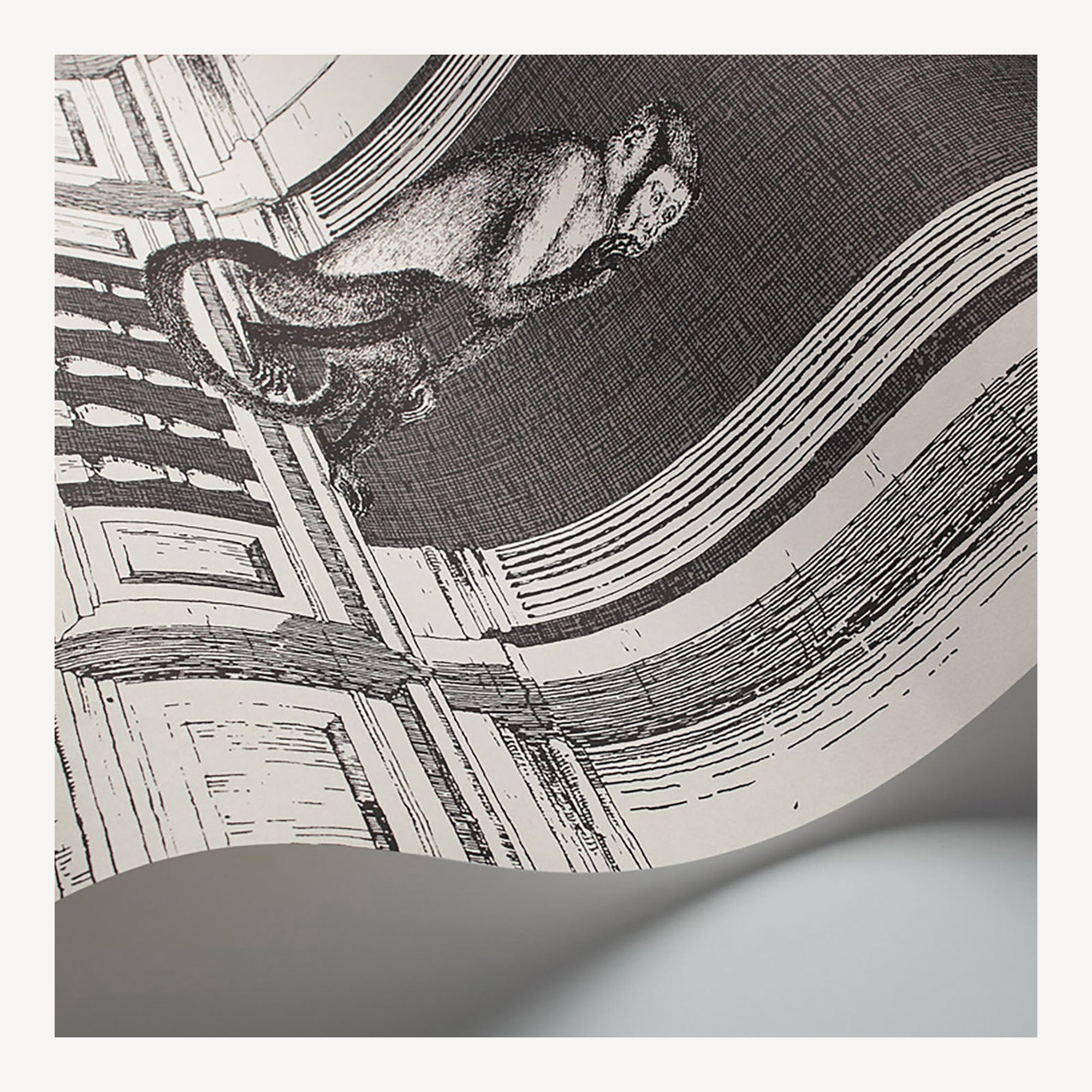 fornasetti-procuratie-e-scimmie-tapete-affen-arkaden-10m image 4