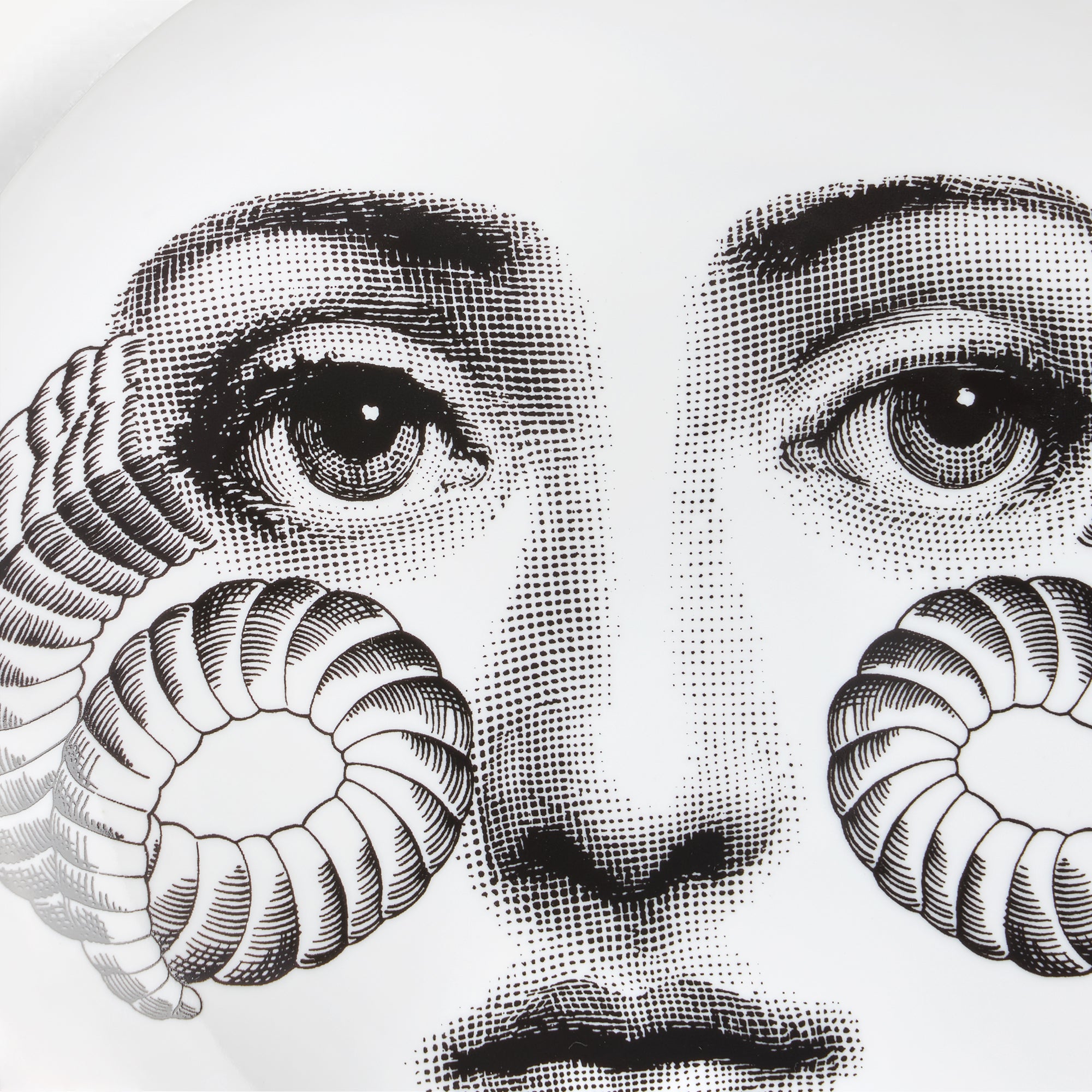 atelier-fornasetti-tema-e-variazioni-wandteller-n-348-widder image 4