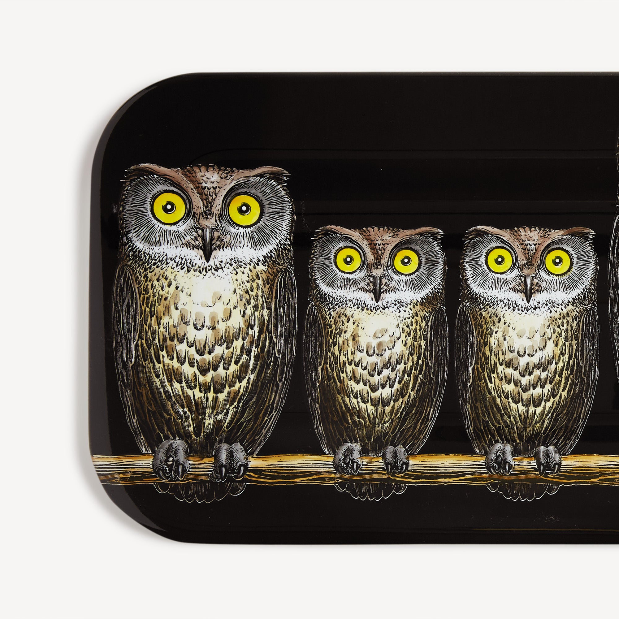 fornasetti-civette-tablett-eulen-serviertablett image 4