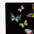 fornasetti-farfalle-buchst-tzen-paar-metall-schmetterling image 3