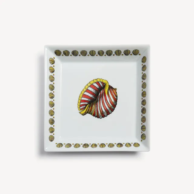 fornasetti-giro-di-conchiglie-schale-eckig-porzellan-muscheln image 1