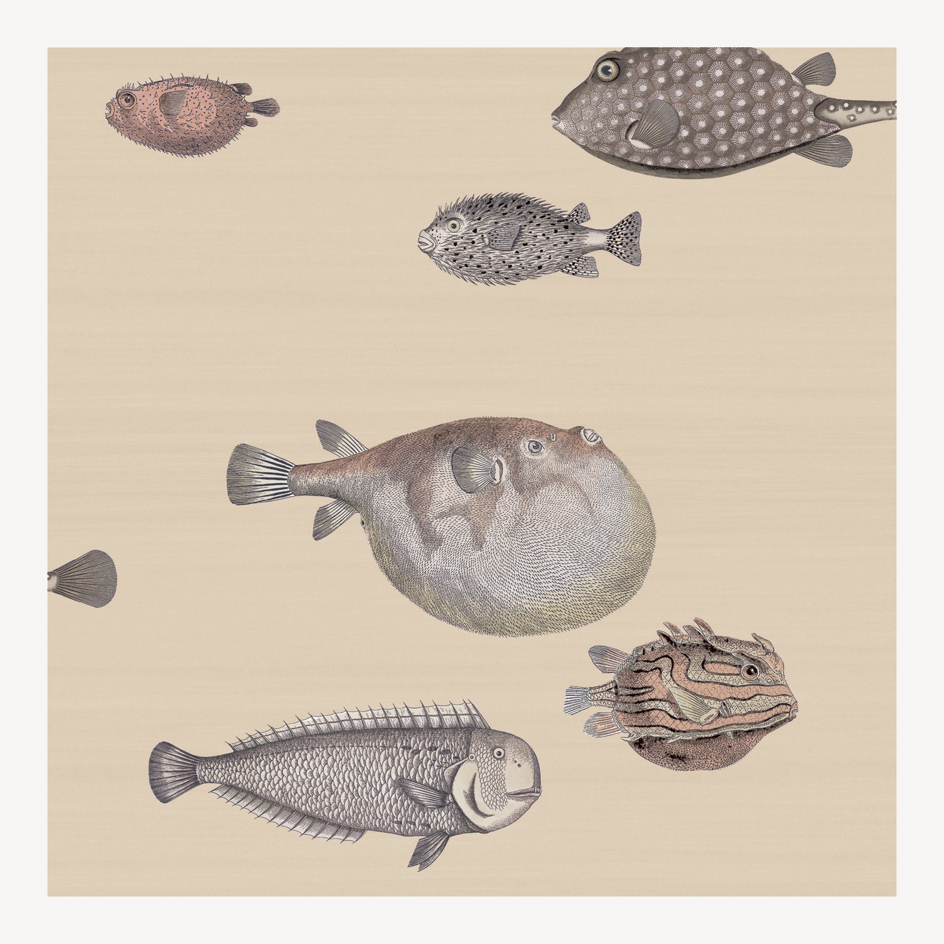 fornasetti-acquario-tapete-fischmuster-10m-cole-son image 1