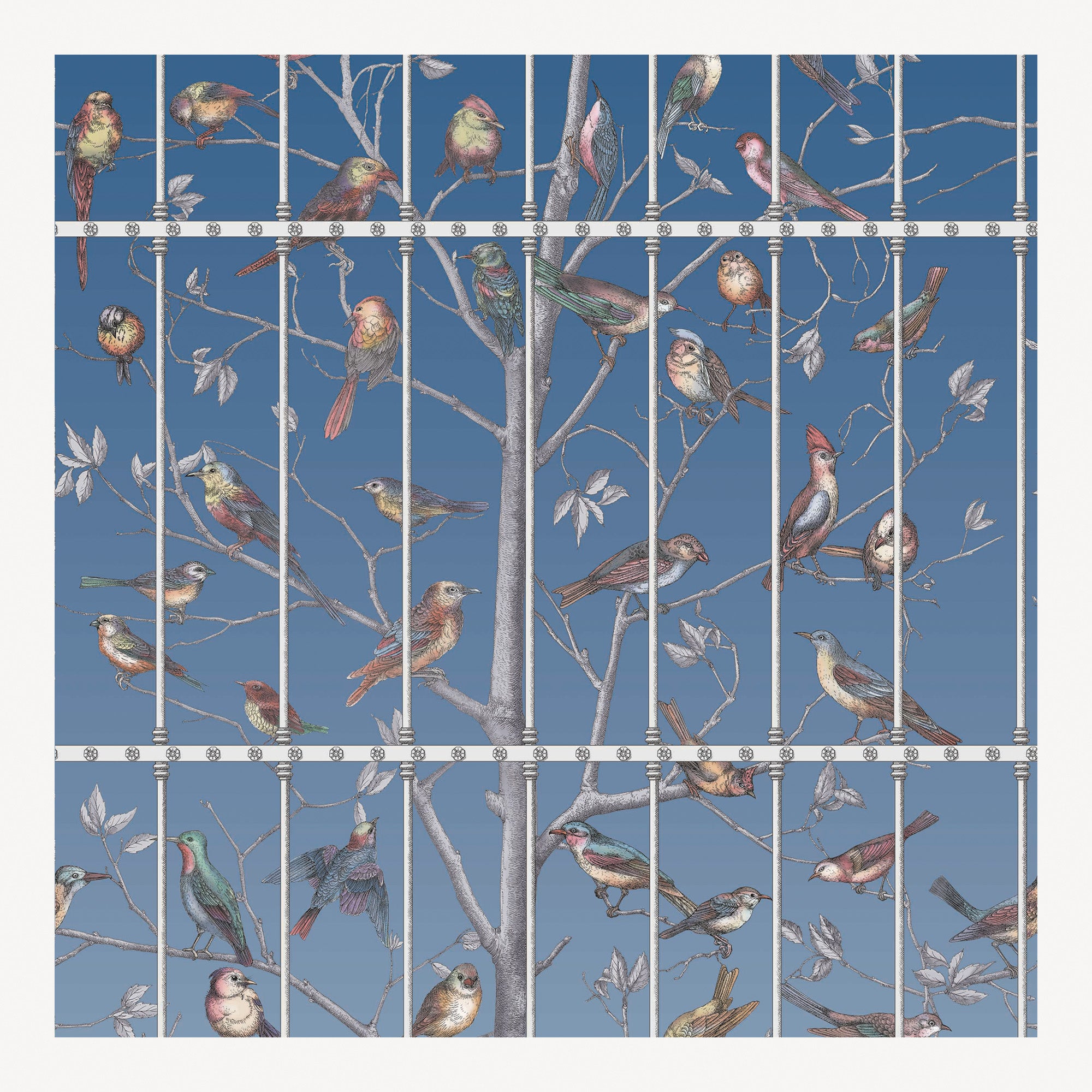 fornasetti-wallpaper-uccelli-tapete-v-gel-52cm image 1