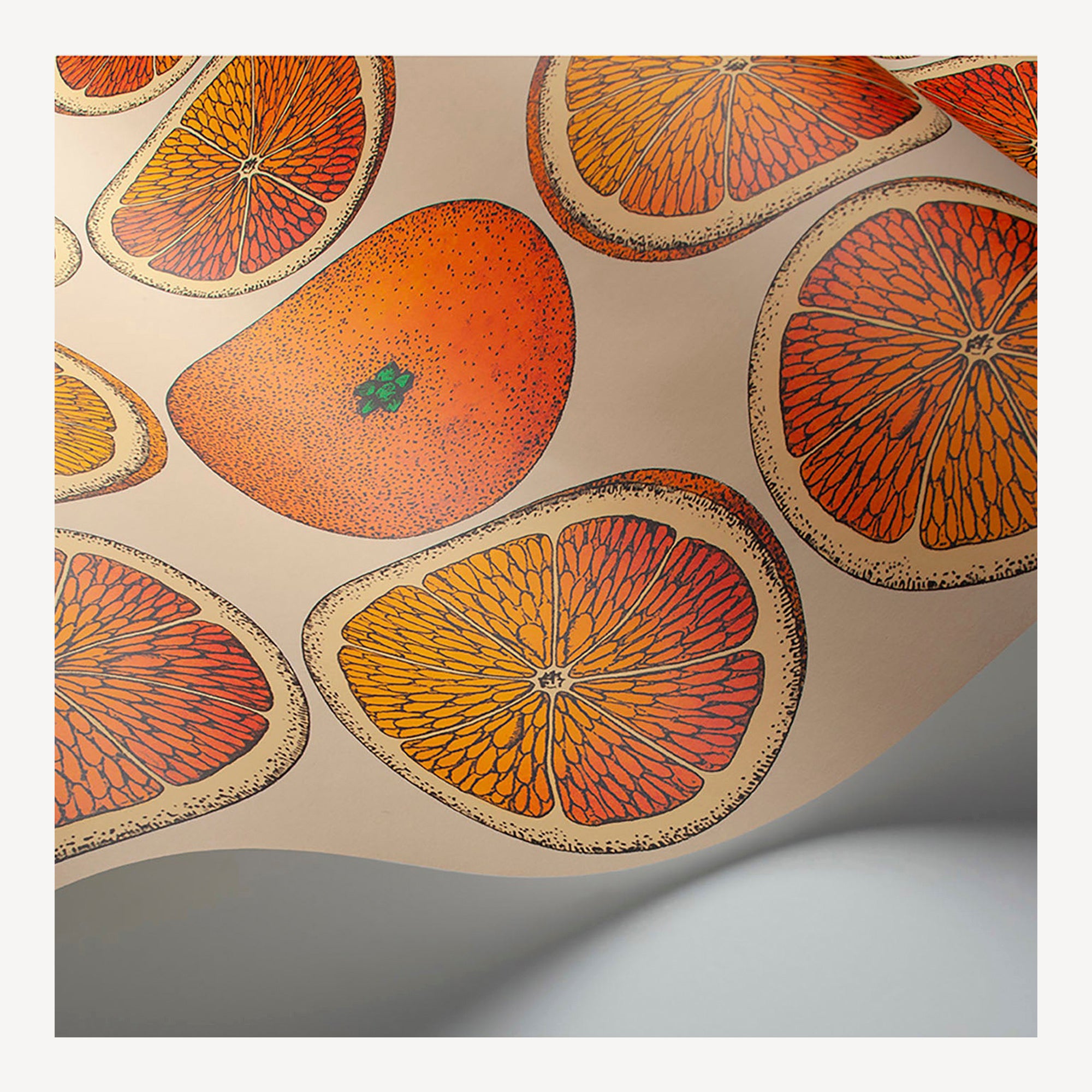 fornasetti-arance-tapete-blutorange-52-cm-x-10-m image 2