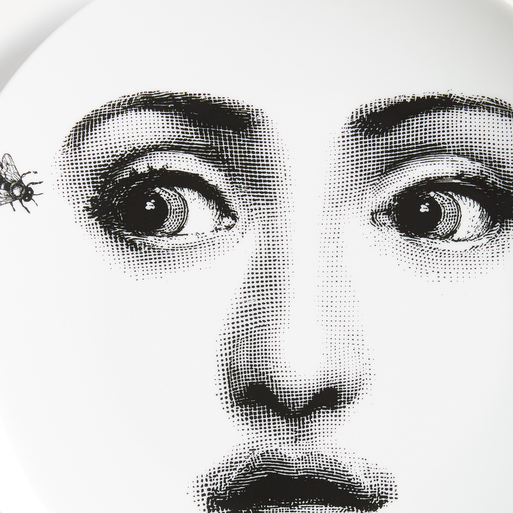 fornasetti-tema-e-variazioni-n-364-wandteller-porzellan image 4