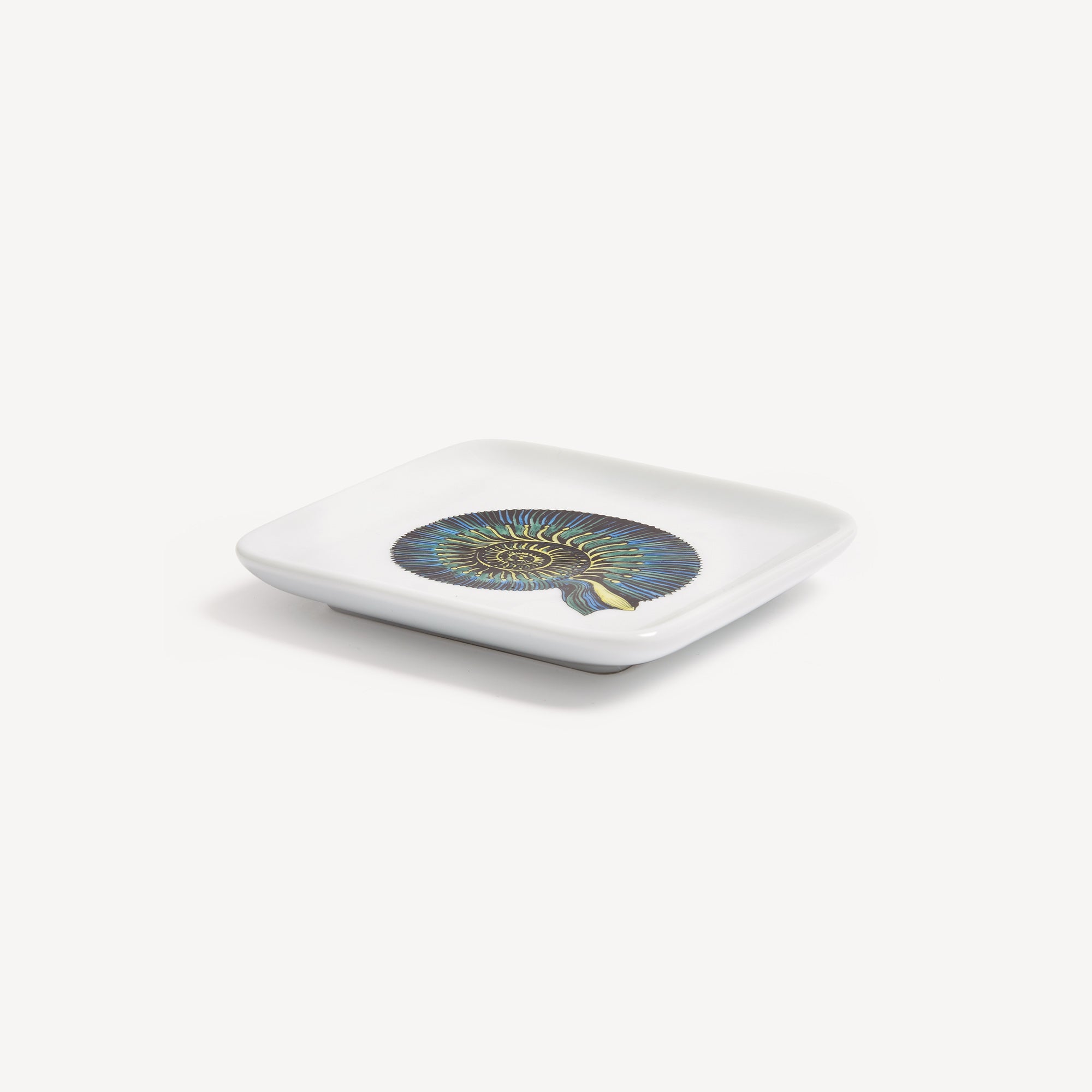 atelier-fornasetti-conchiglia-fossile-aschenbecher-keramik-muschel image 2