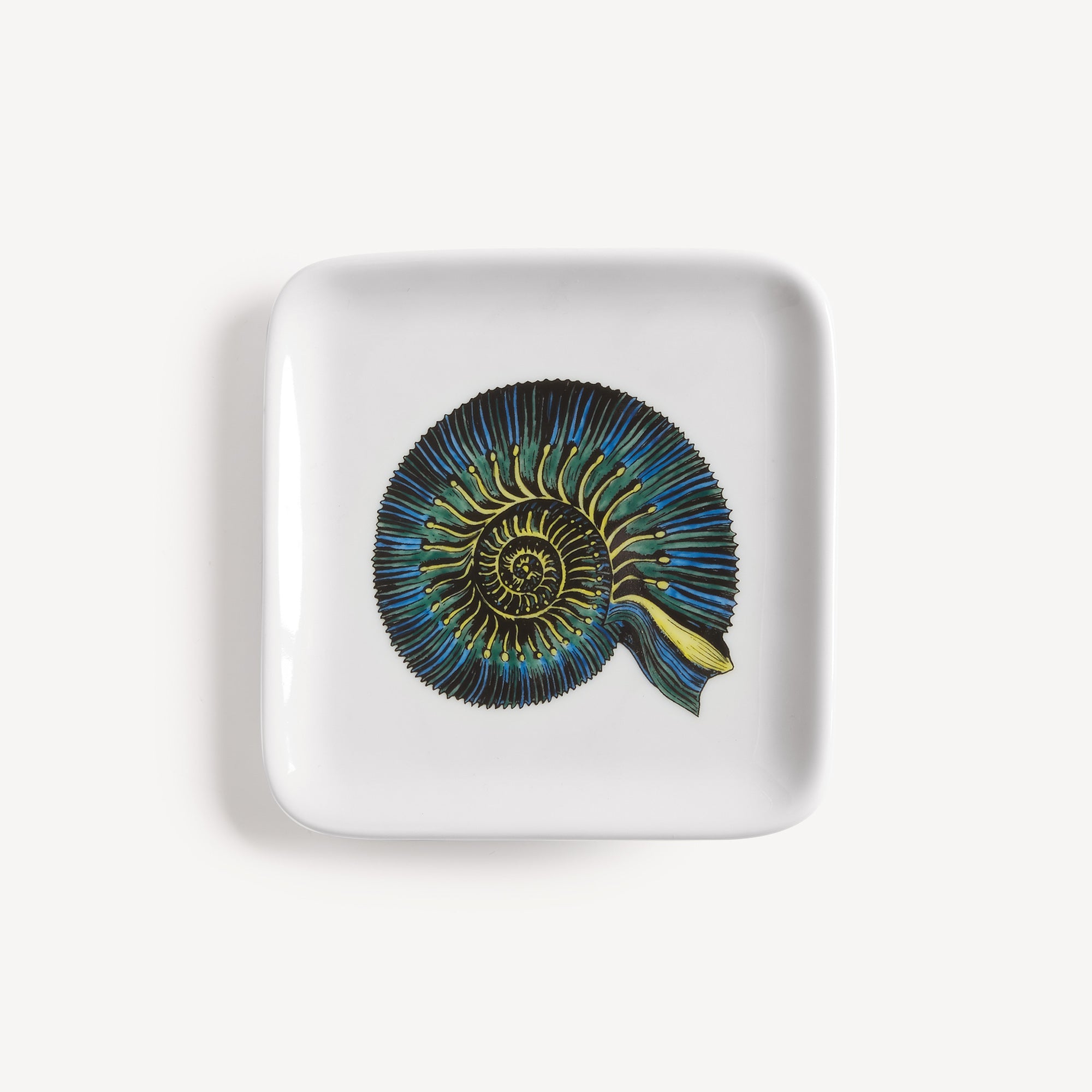 atelier-fornasetti-conchiglia-fossile-aschenbecher-keramik-muschel image 1