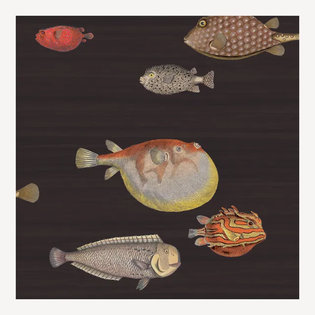 fornasetti-acquario-tapete-fische-10m-x-68-5cm image 1