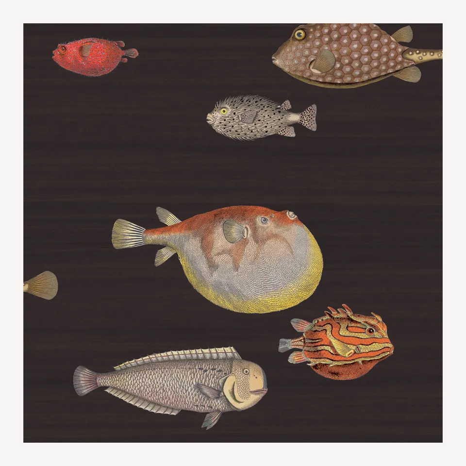 fornasetti-acquario-tapete-fische-10m-x-68-5cm image 1