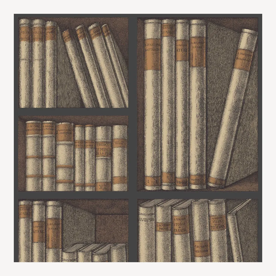 fornasetti-ex-libris-tapete-b-cher-52cm-x-10m-cole-son image 1
