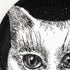 fornasetti-gatti-no-6-deko-beh-lter-katzenmotiv image 4