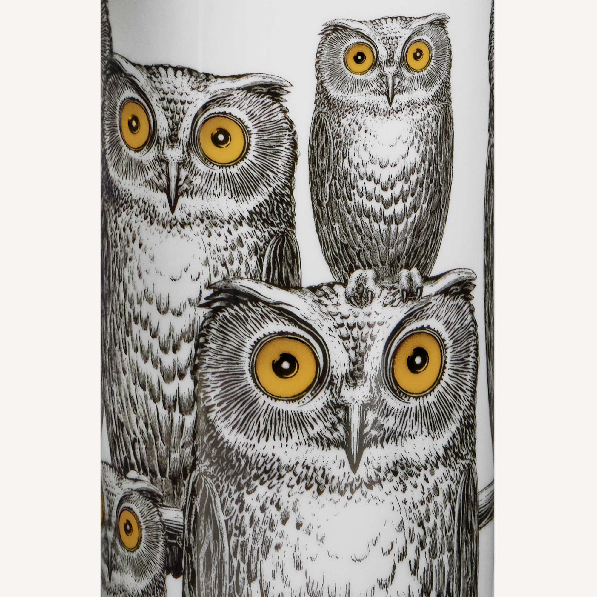 atelier-fornasetti-civette-kleine-zylindervase-eulen image 4