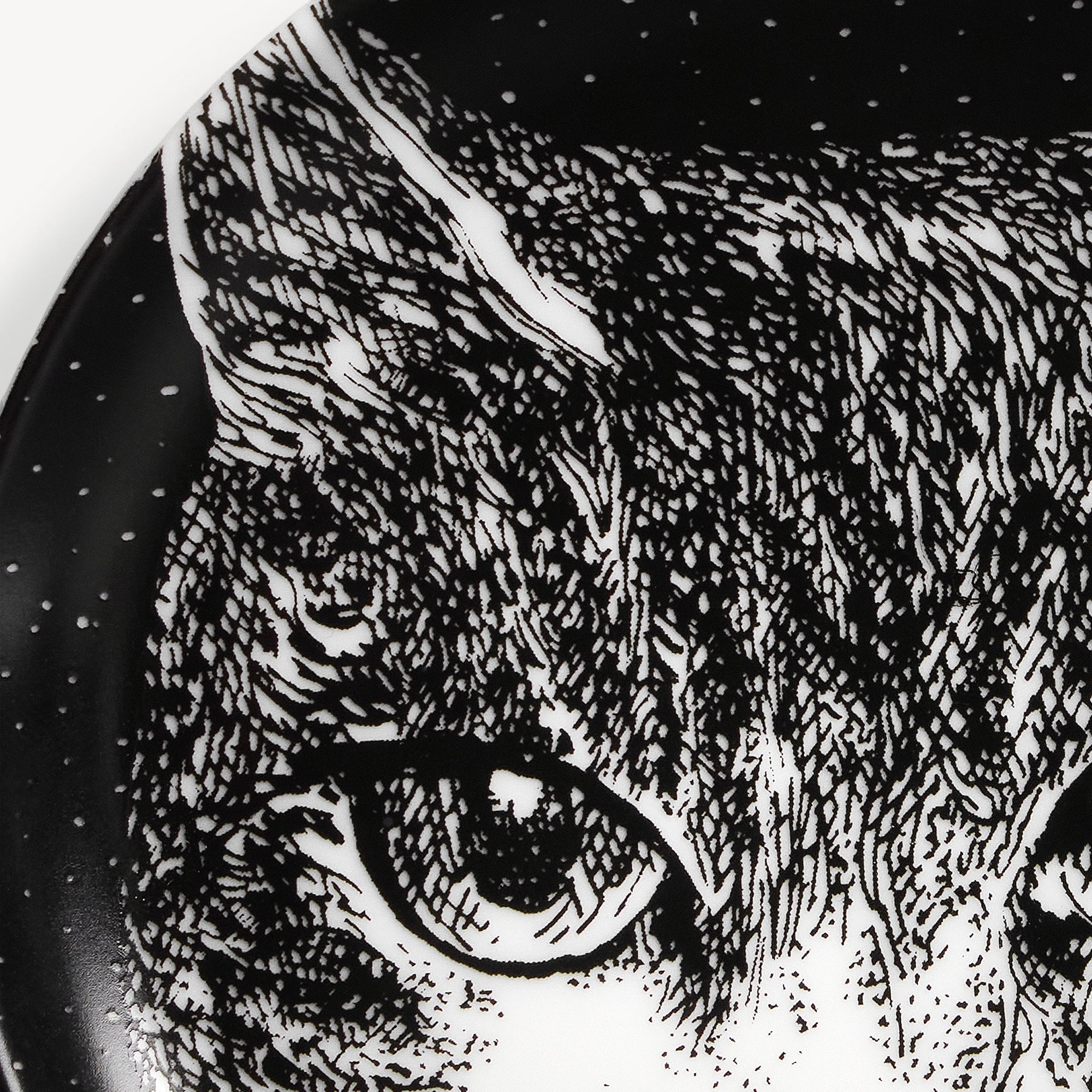fornasetti-gatti-no-5-dekoschale-katzenmotiv-rund image 4