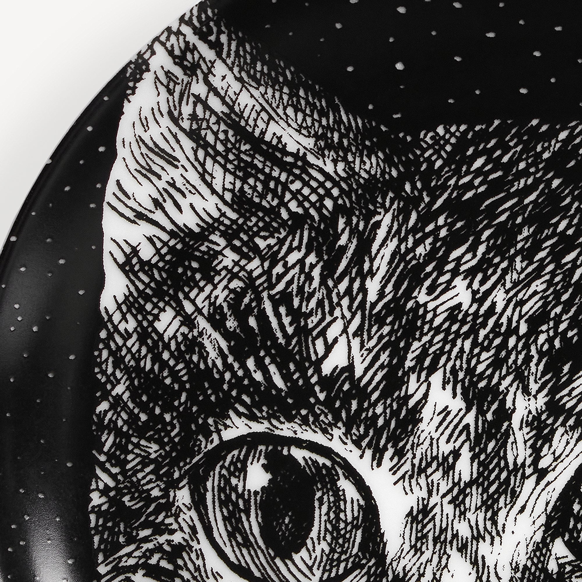 fornasetti-gatti-no-4-deko-schale-porzellan-katzenmotiv image 4