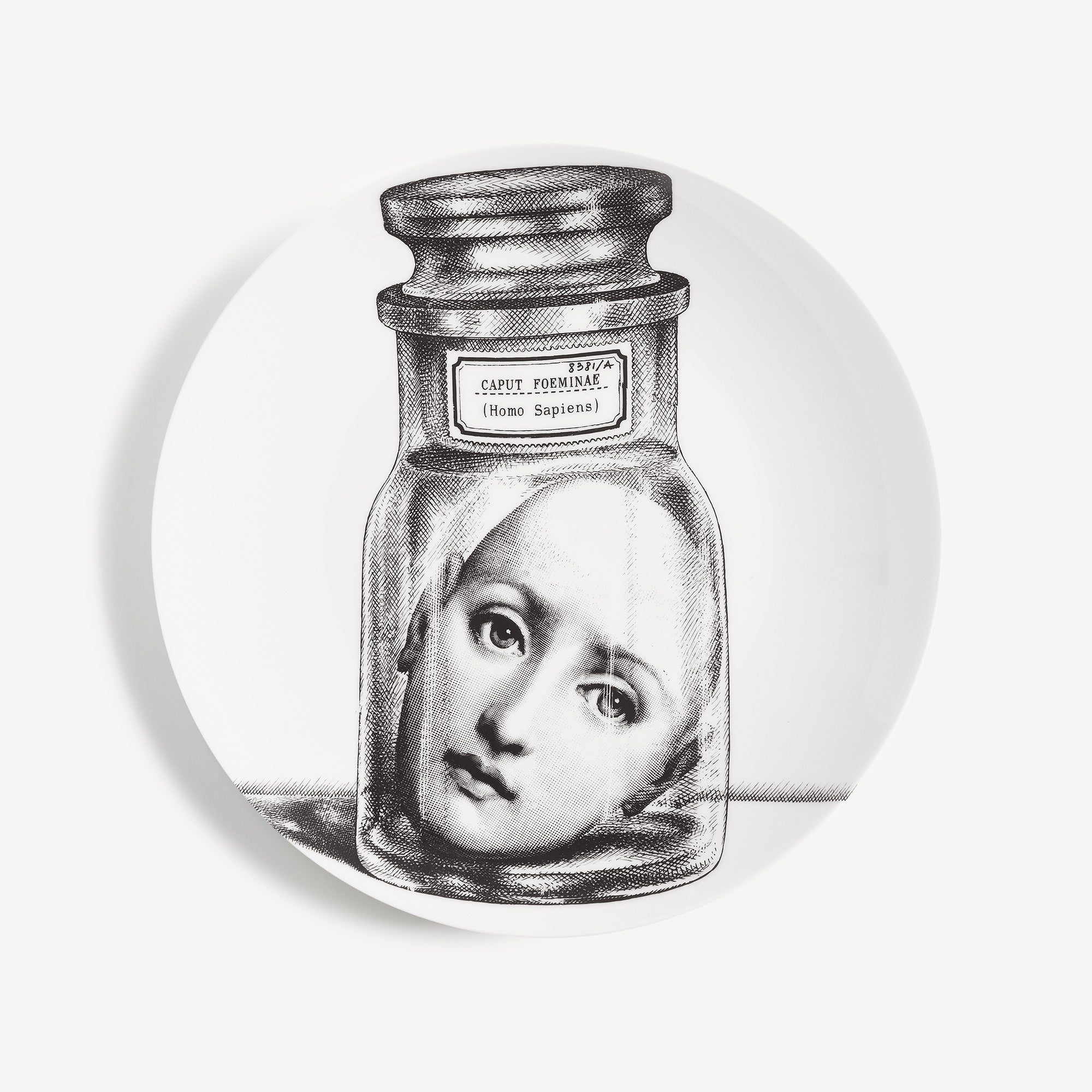 fornasetti-tema-e-variazioni-nr-166-wandteller-porzellan-lina image 1