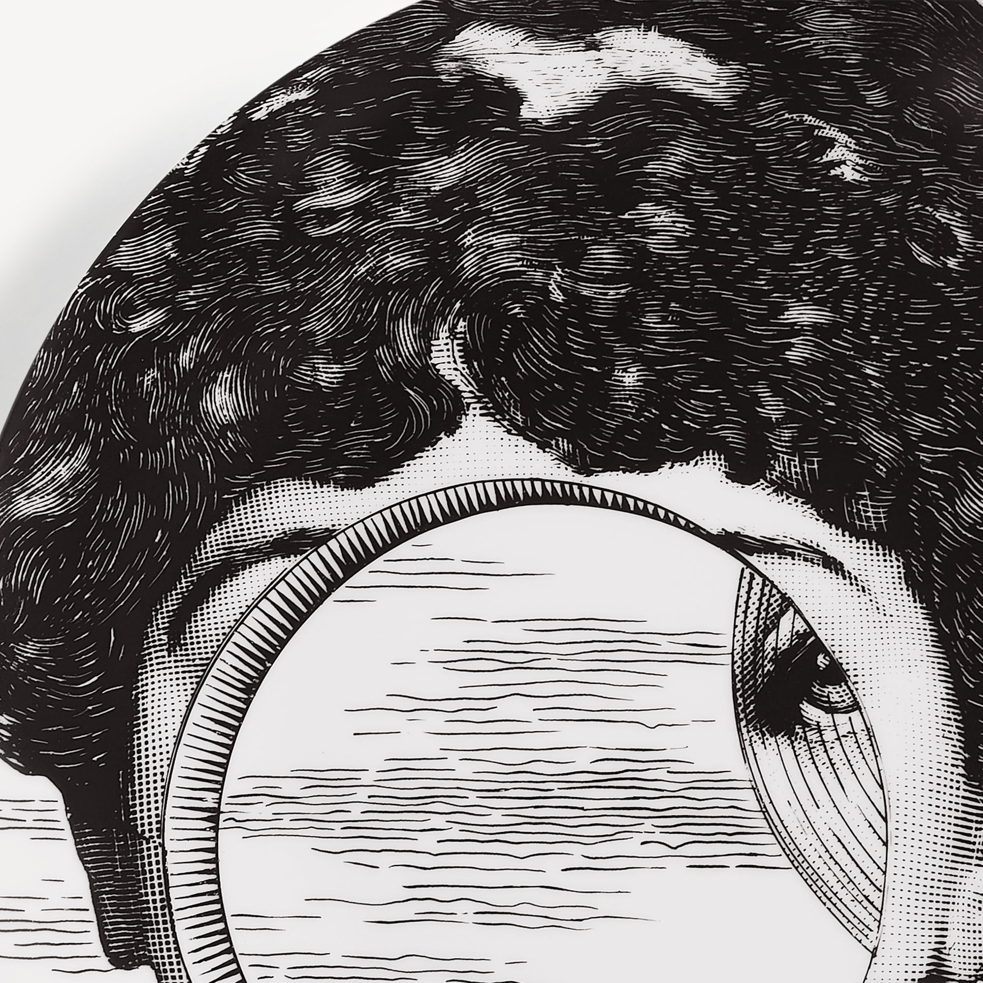 fornasetti-tema-e-variazioni-wandteller-n-279-porzellan image 4
