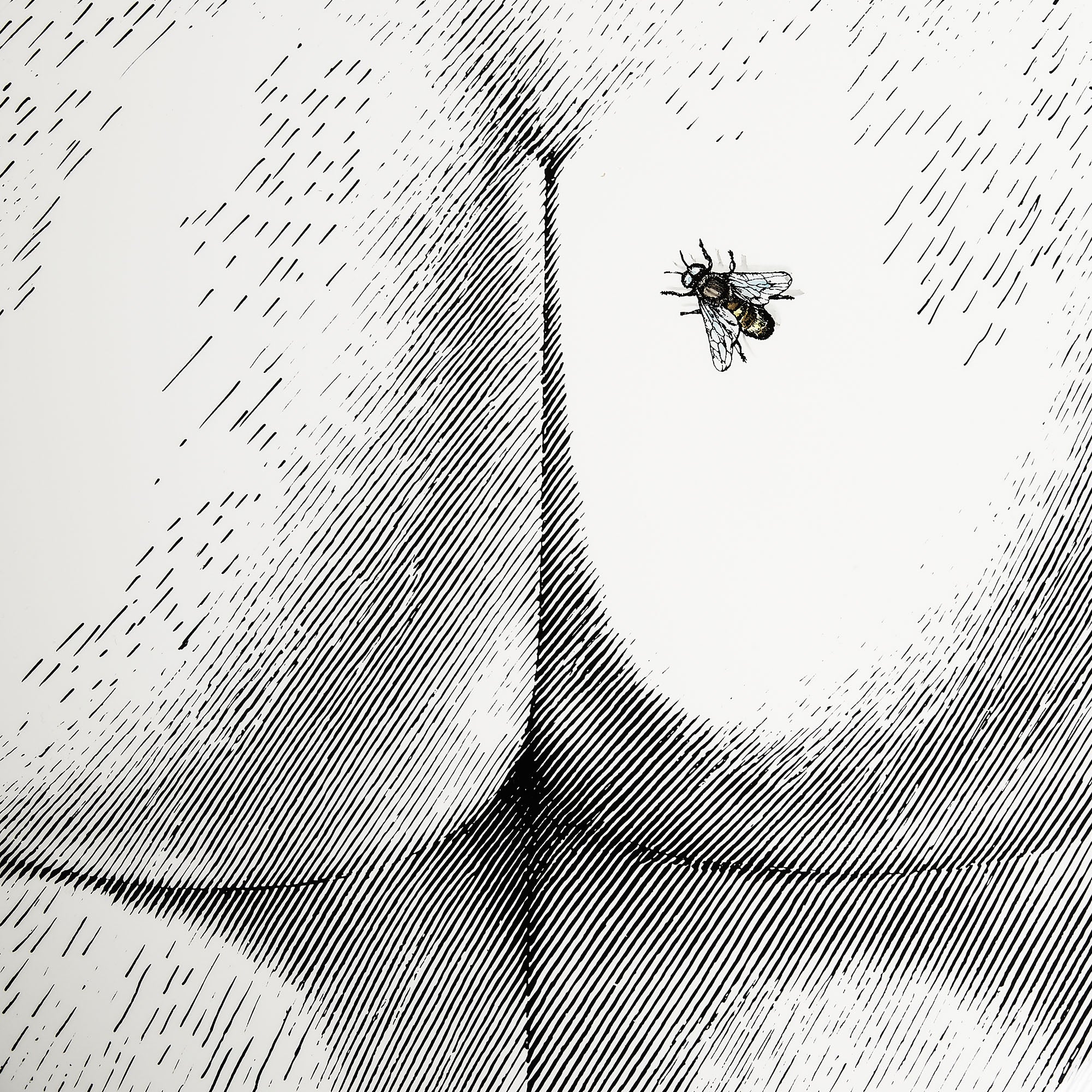atelier-fornasetti-bee-hocker-rund-biene image 4