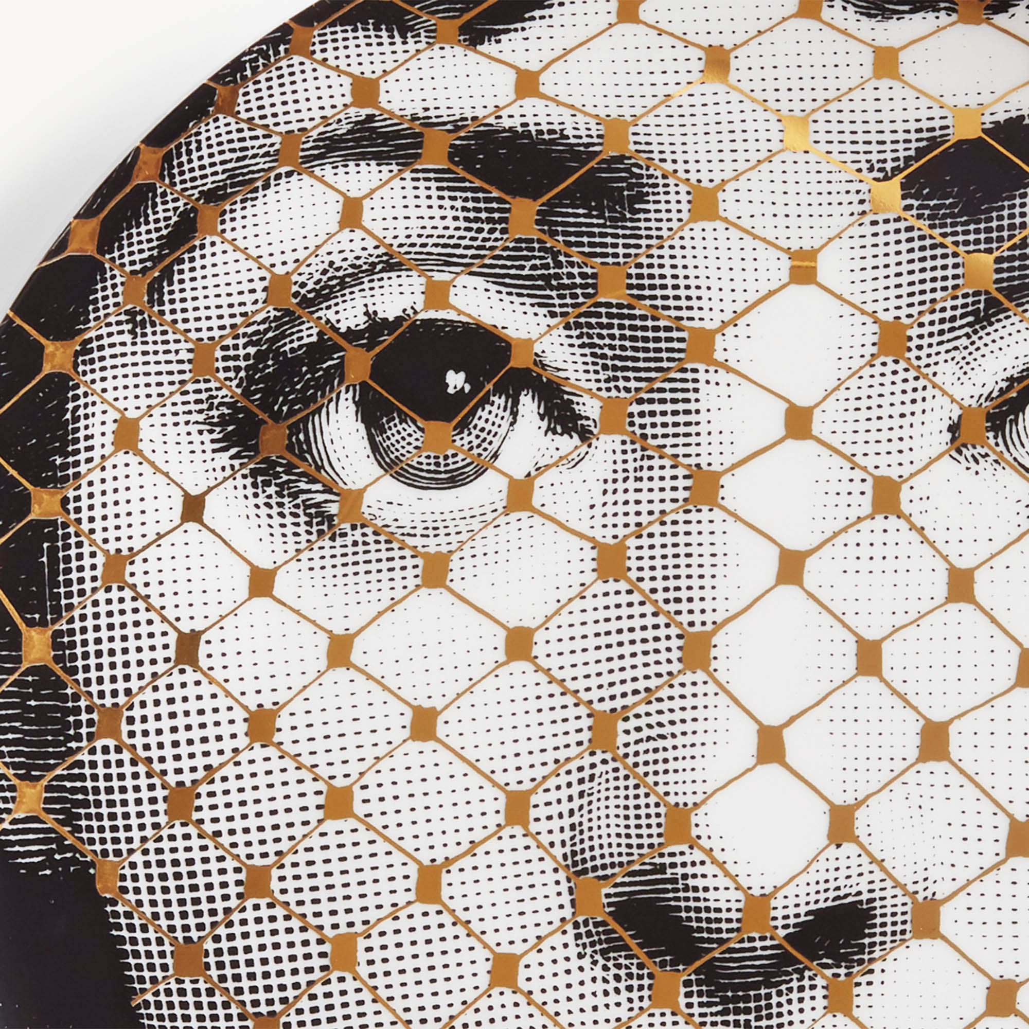 fornasetti-tema-e-variazioni-wandteller-nr-78-gold image 4