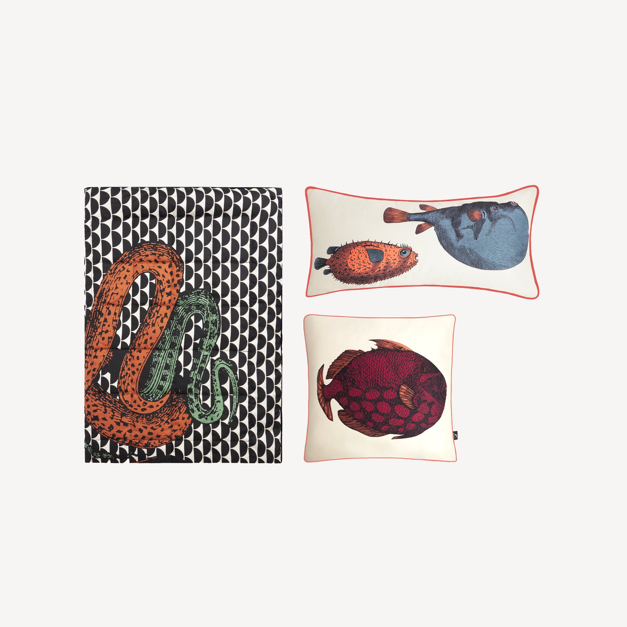 fornasetti-polipo-plaid-seide-decke-zweifarbig image 6