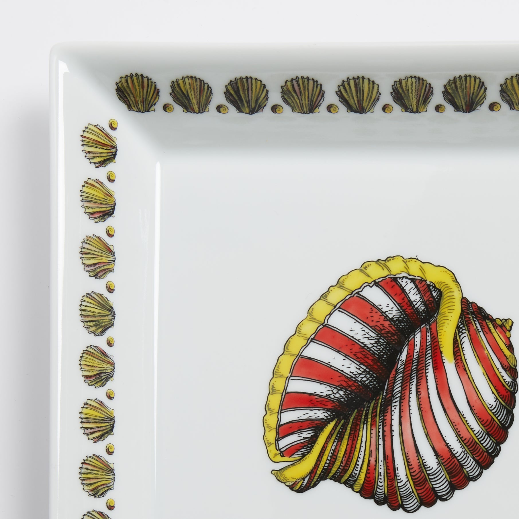 fornasetti-giro-di-conchiglie-schale-eckig-porzellan-muscheln image 4