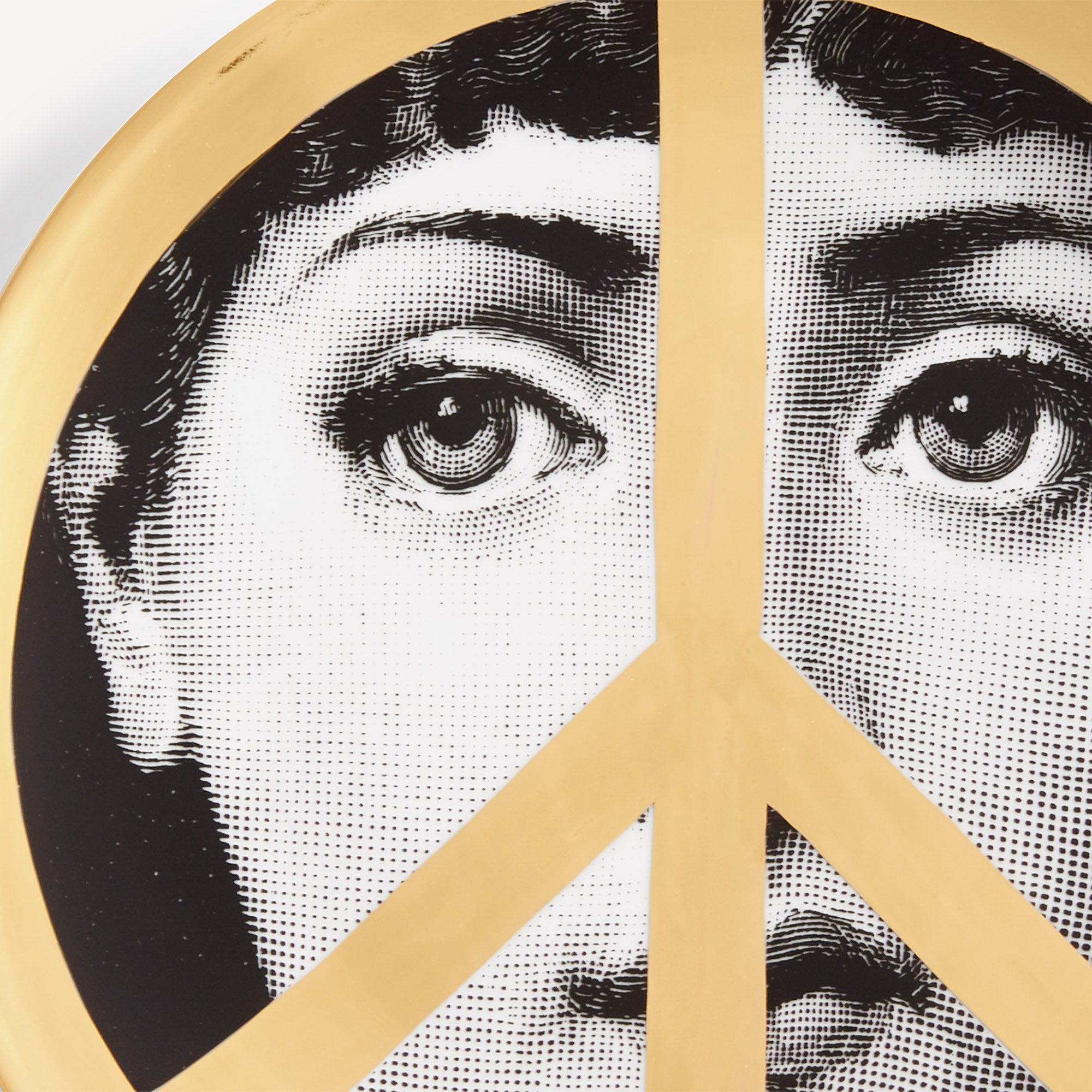 fornasetti-tema-e-variazioni-wandteller-n-347-porzellan-gold image 4