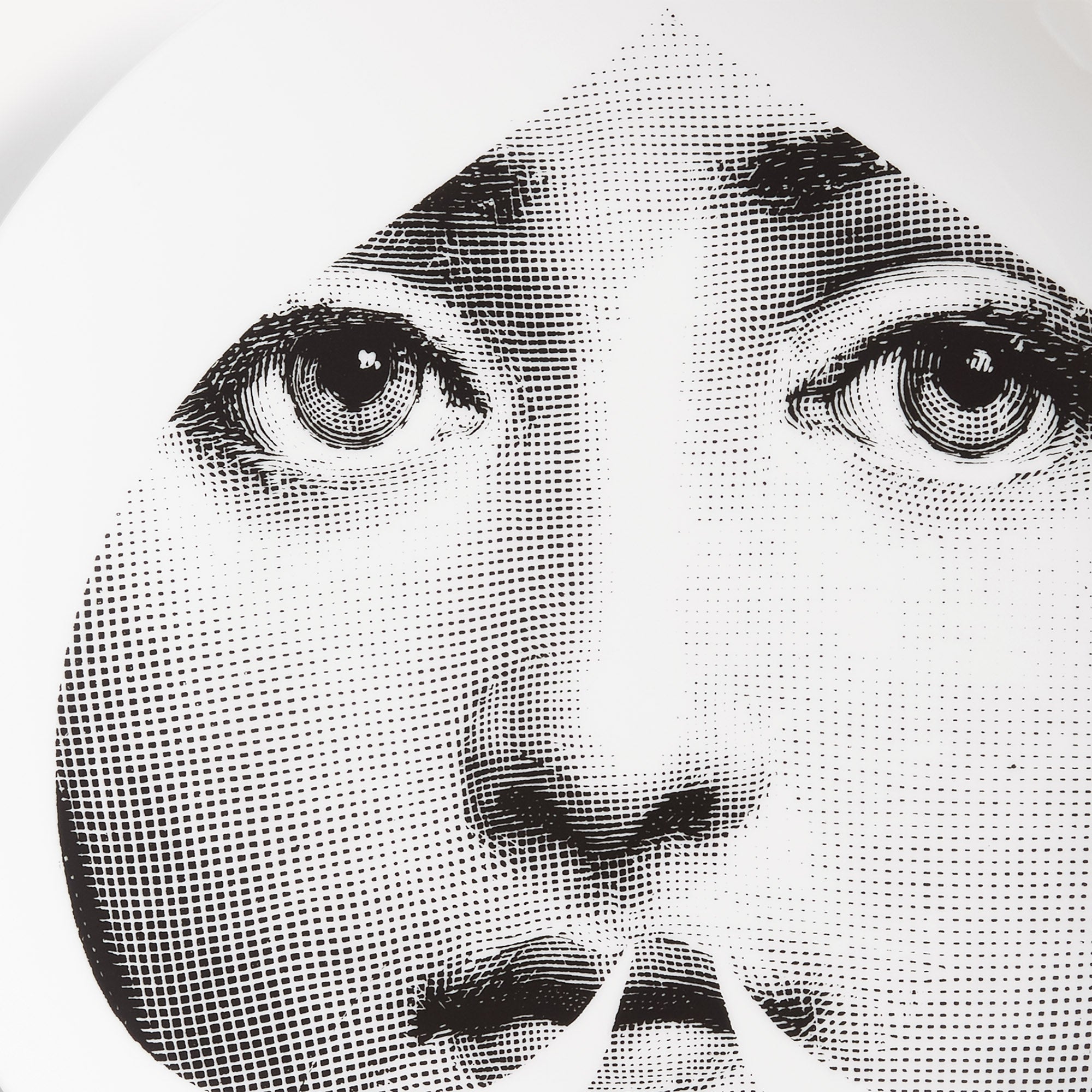 atelier-fornasetti-tema-e-variazioni-n-68-wandteller-porzellan image 4