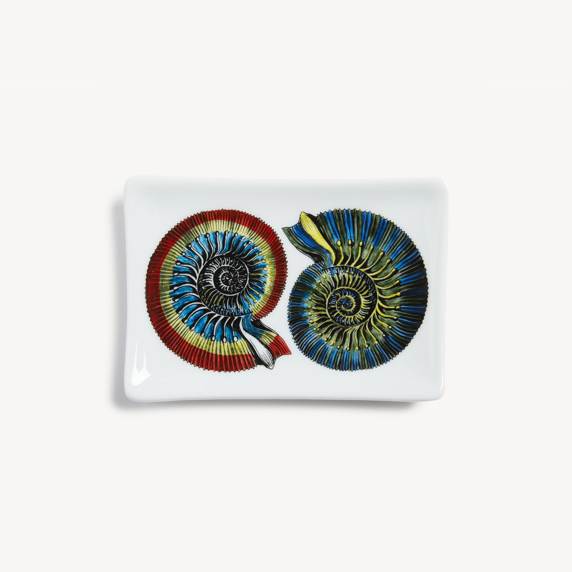 atelier-fornasetti-giro-di-conchiglie-ascher-rechteckig image 1