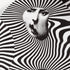 atelier-fornasetti-tema-e-variazioni-wandteller-n-312-porzellan image 4