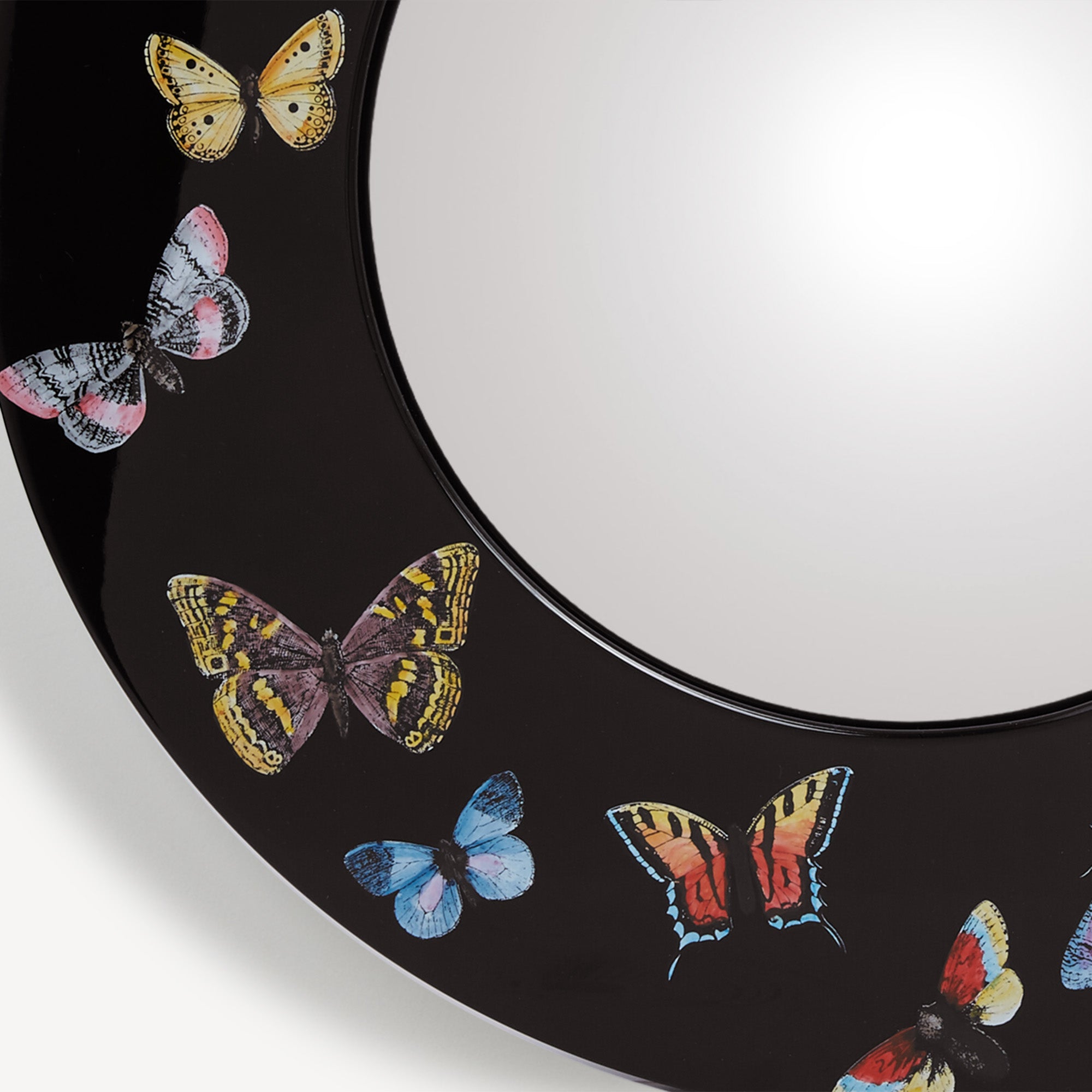 atelier-fornasetti-farfalle-spiegel-konvex-holzrahmen-wand image 3