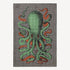 fornasetti-polipo-silk-plaid-seidendecke-wendefarben image 2